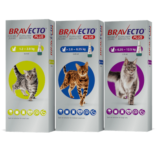 Bravecto Cat