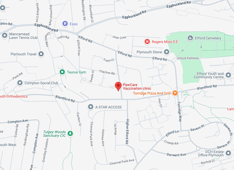 Paw Care Location